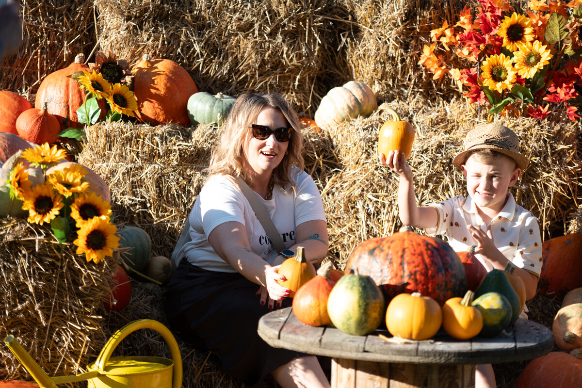 W mieście pojawiła się kolorowa farma dyniowa! / fot. Marek Faber