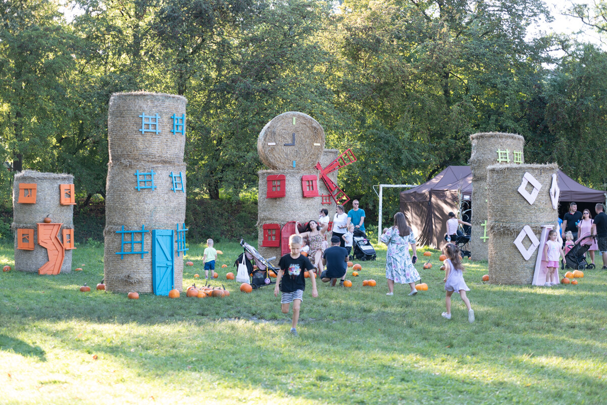 W mieście pojawiła się kolorowa farma dyniowa! / fot. Marek Faber