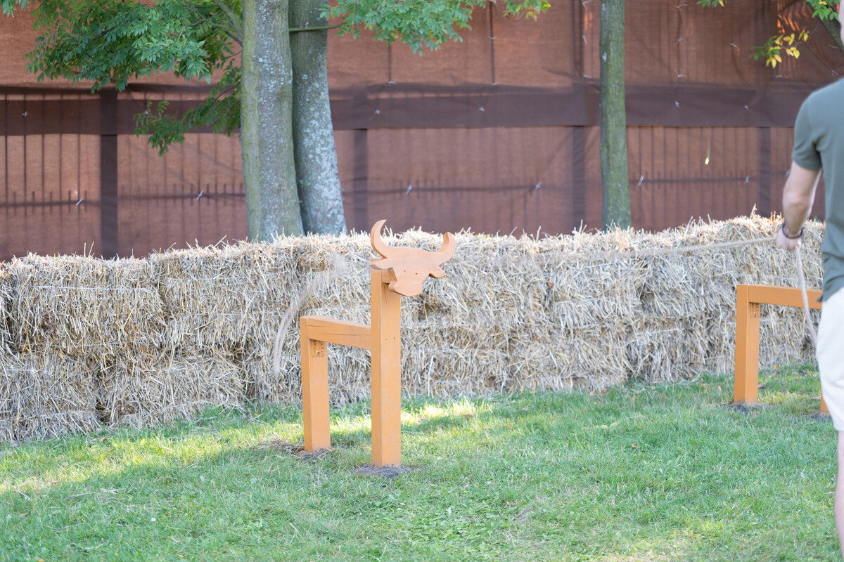 W mieście pojawiła się kolorowa farma dyniowa! / fot. Marek Faber