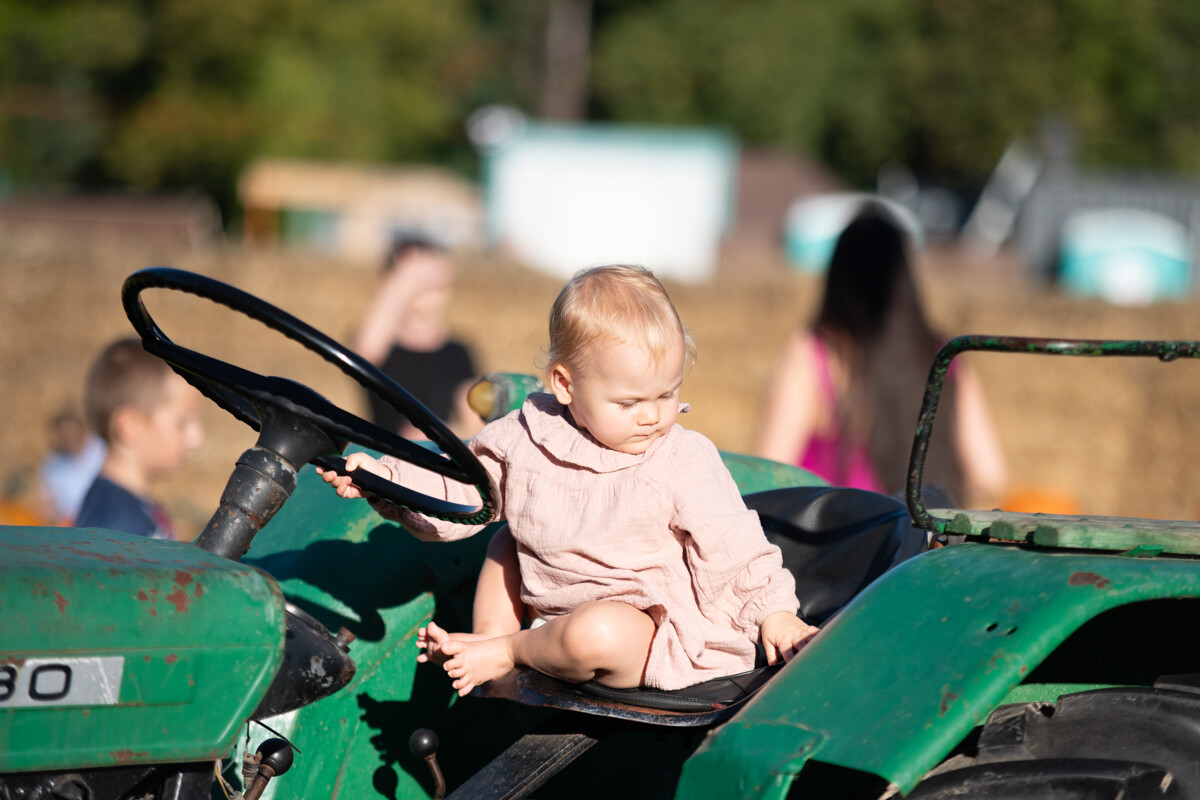 W mieście pojawiła się kolorowa farma dyniowa! / fot. Marek Faber