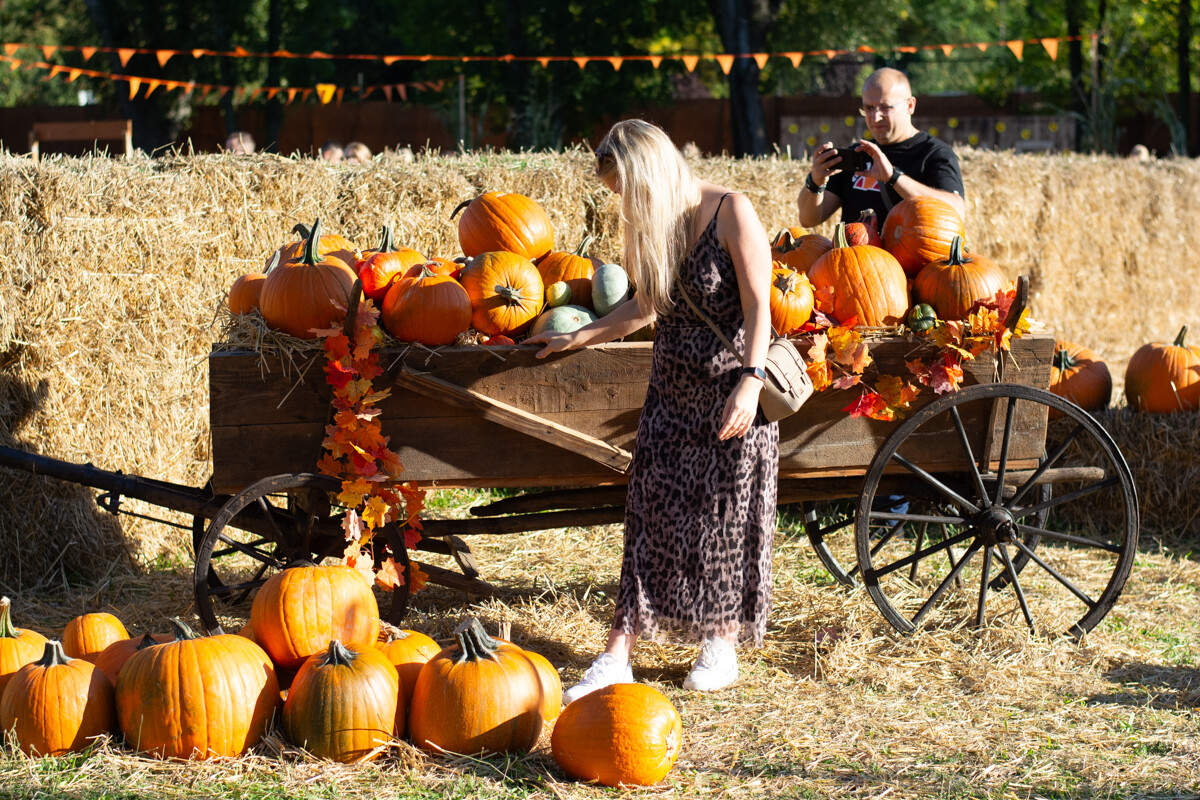 W mieście pojawiła się kolorowa farma dyniowa! / fot. Marek Faber