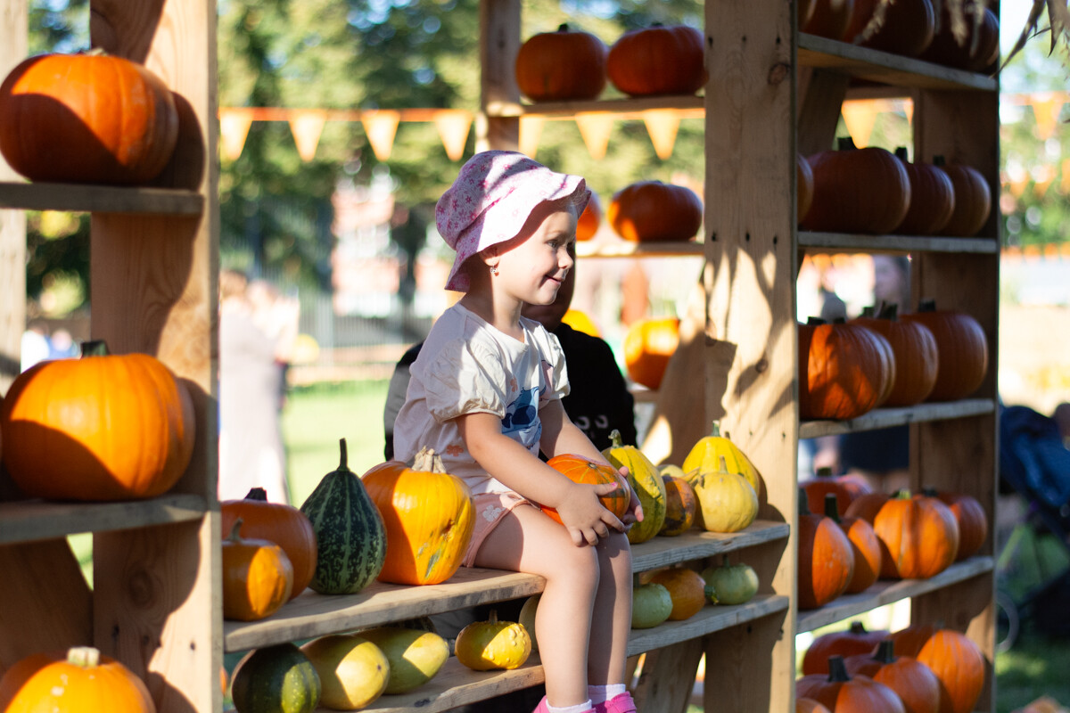 W mieście pojawiła się kolorowa farma dyniowa! / fot. Marek Faber