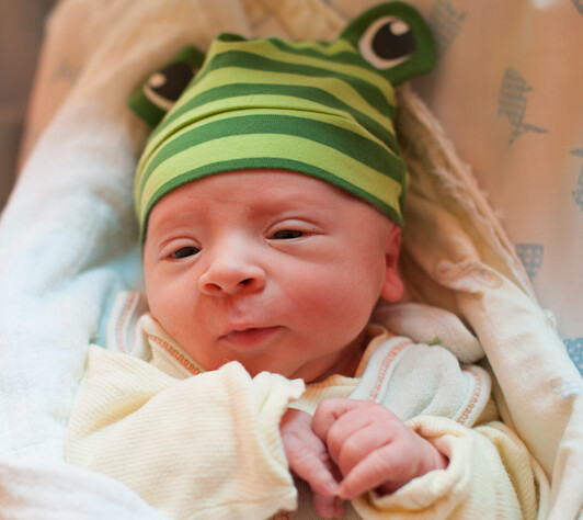 Franciszek Białdyga