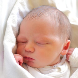 Franciszek Malcherek