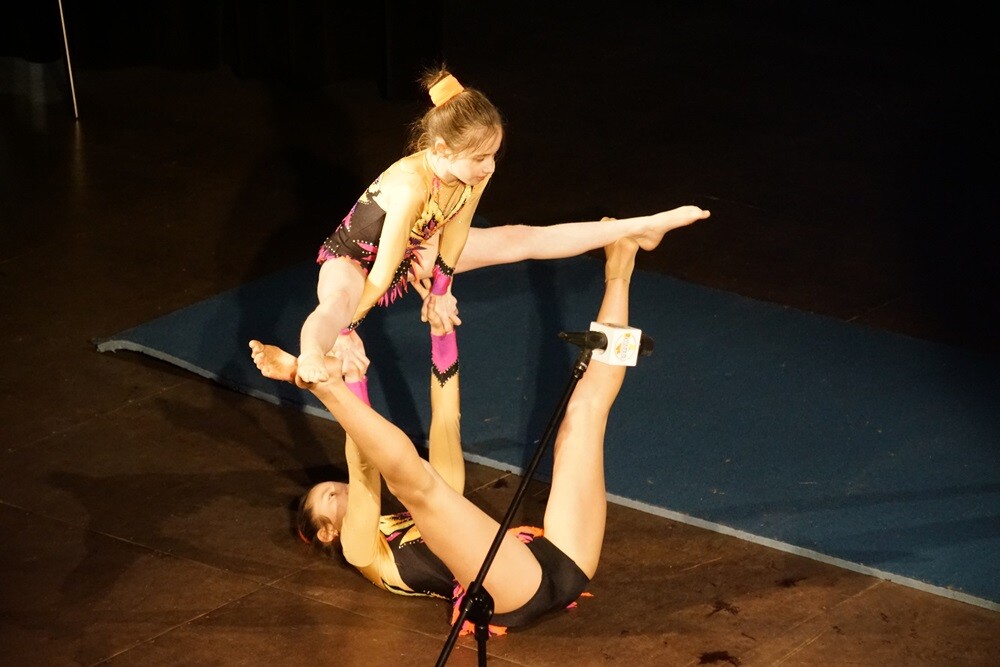 W piątek odbył się 25. Plebiscyt na Sportowca i Trenera Roku Wiadomości Rudzkich. Podczas jubileuszowej gali w Domu Kultury Bielszowice uhonorowano m.in. sportowców, dla których 2017 rok był szczególnie bogaty w sukcesy i osiągnięcia sportowe. Nagrody wręczono w 11 kategoriach.