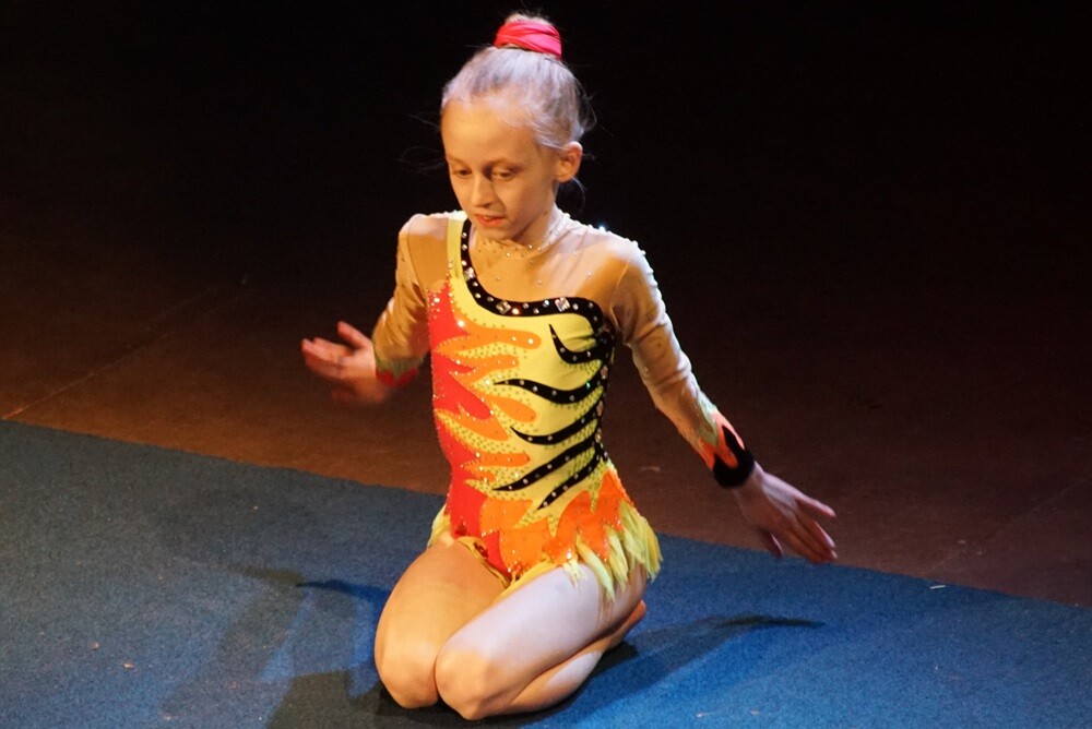 W piątek odbył się 25. Plebiscyt na Sportowca i Trenera Roku Wiadomości Rudzkich. Podczas jubileuszowej gali w Domu Kultury Bielszowice uhonorowano m.in. sportowców, dla których 2017 rok był szczególnie bogaty w sukcesy i osiągnięcia sportowe. Nagrody wręczono w 11 kategoriach.