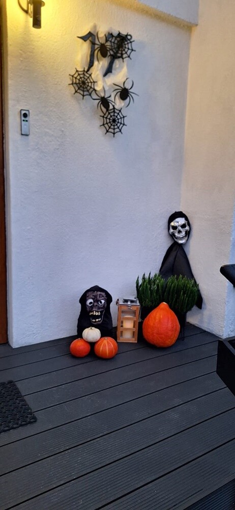 Halloween. / fot. Czytelnicy