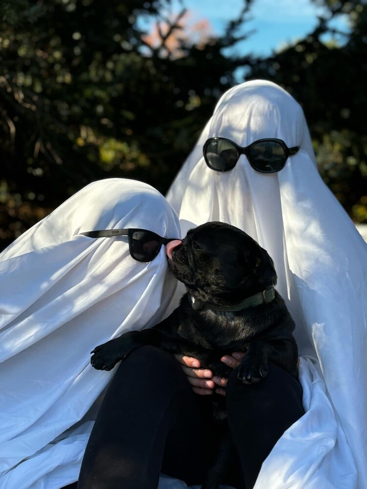 Halloween. / fot. Czytelnicy