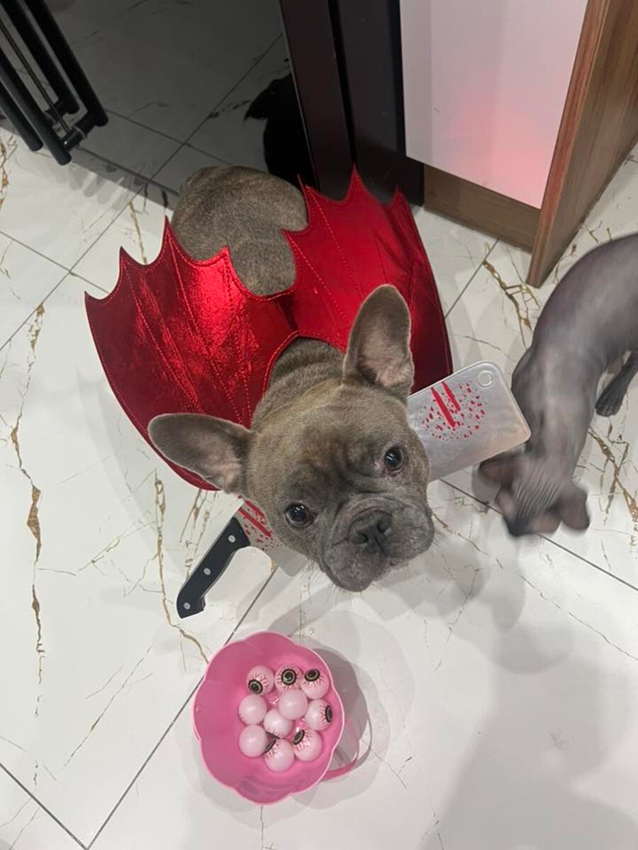 Halloween w Rudzie Śląskiej już za nami! Zobaczcie zdjęcia naszych Czytelników