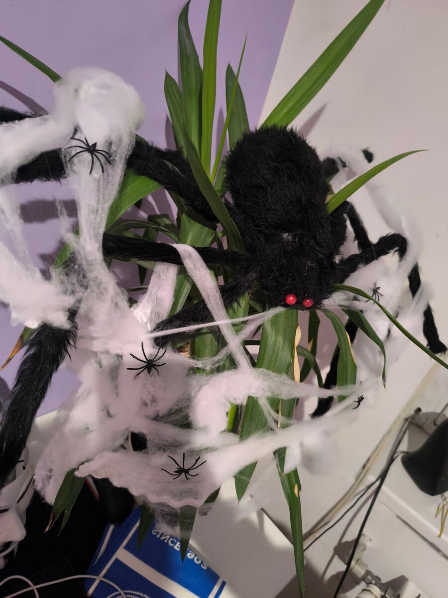 Halloween w Rudzie Śląskiej już za nami! Zobaczcie zdjęcia naszych Czytelników