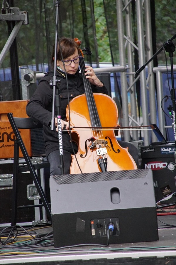 Zwiedzanie z przewodnikiem, warsztaty plastyczne, czy koncerty na zabytkowym osiedlu Ficinus - to tylko niektóre atrakcje, które przygotowano w ramach rudzkiej odsłony Industriady 2020.