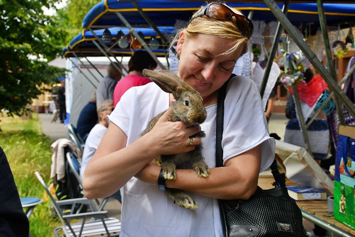 Industriada 2024 / fot. Jacek Knapik