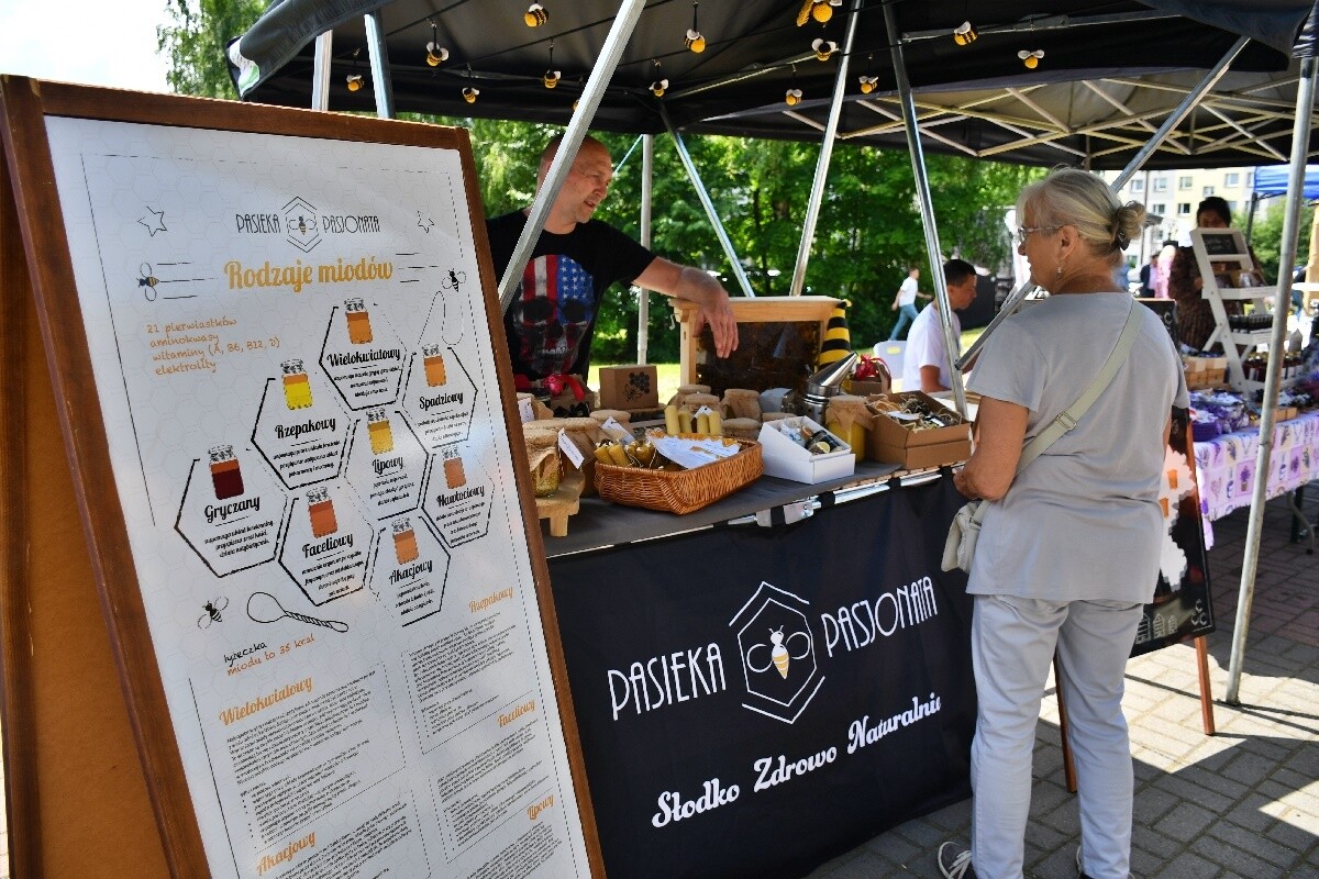 Industriada 2024 / fot. Jacek Knapik