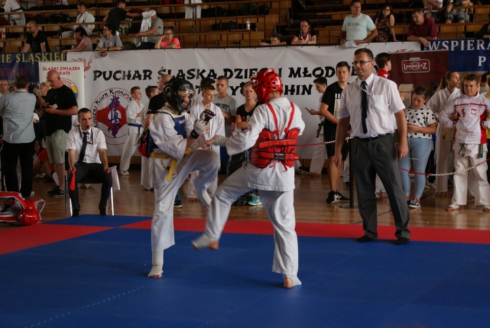 W hali MOSIR odbył się wczoraj IV Puchar Śląska Dzieci i Młodzieży Karate Kyokushin.