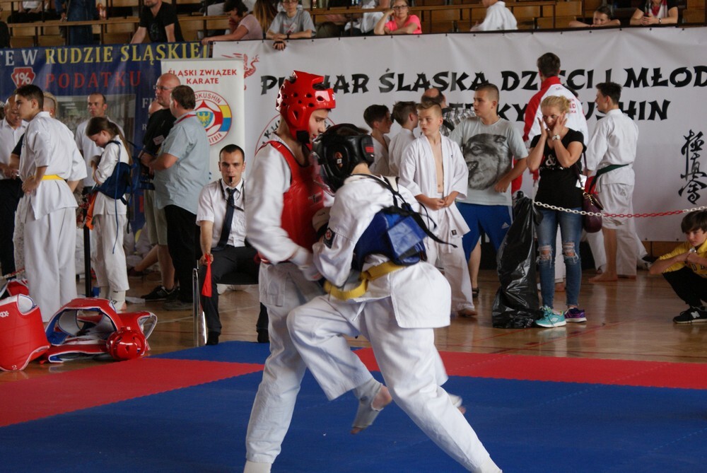 W hali MOSIR odbył się wczoraj IV Puchar Śląska Dzieci i Młodzieży Karate Kyokushin.