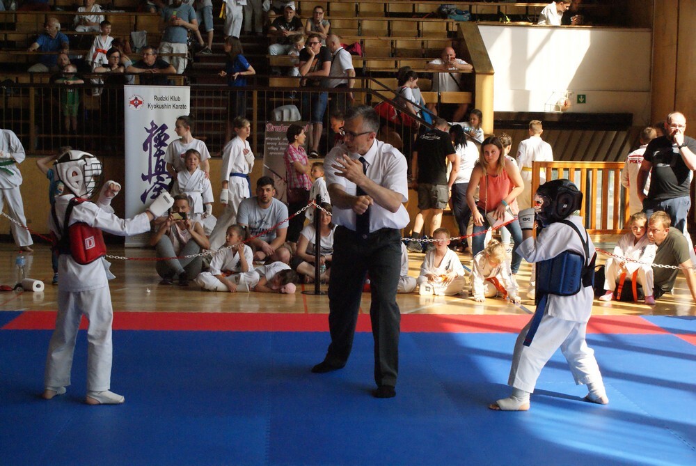 W hali MOSIR odbył się wczoraj IV Puchar Śląska Dzieci i Młodzieży Karate Kyokushin.