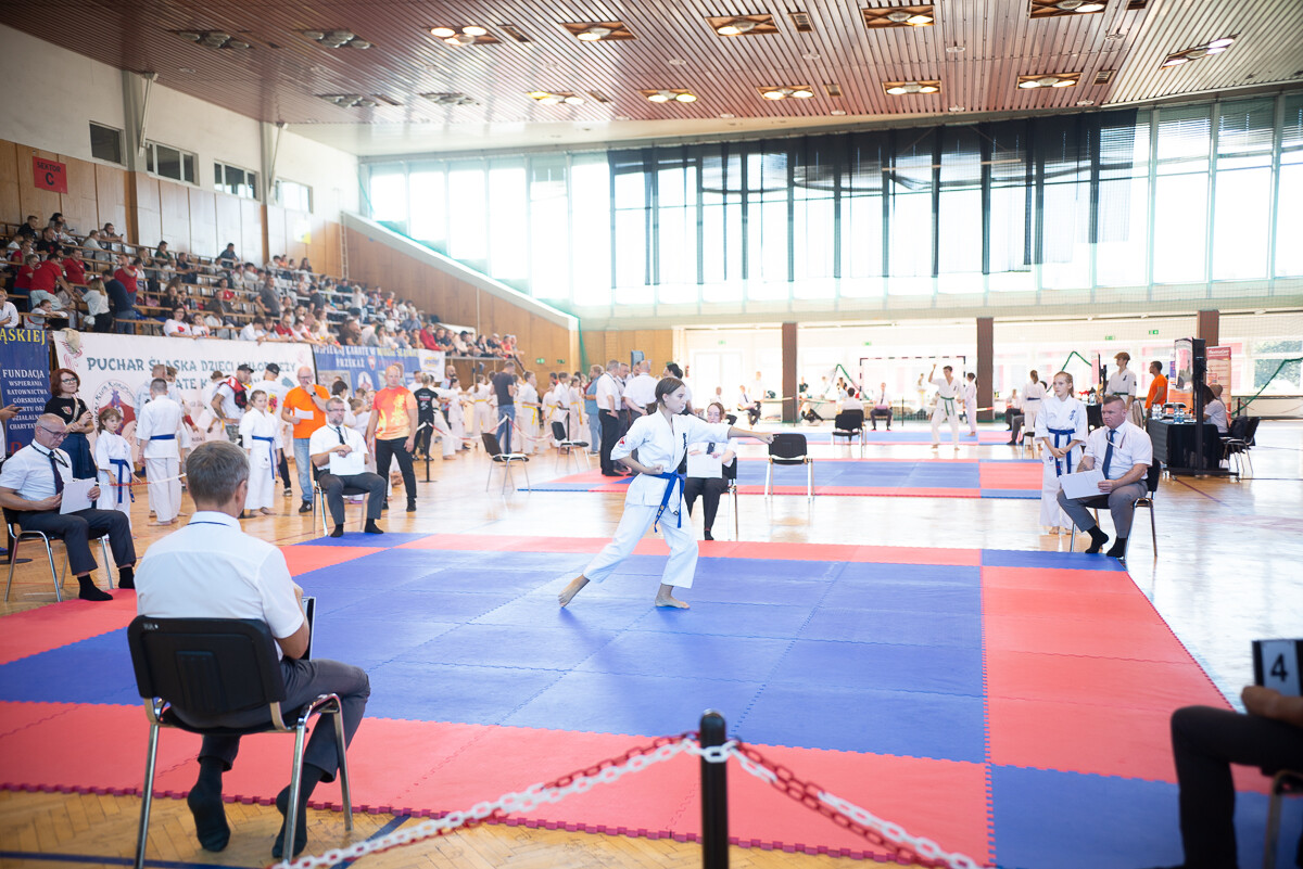Za nami IX Puchar Śląska Dzieci i Młodzieży Karate Kyokushin / fot. Natalia Salwiczek