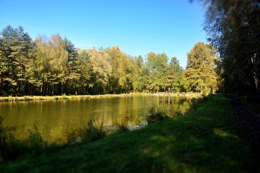 Jeżeli szukasz miejsca na spacer, z pełną odpowiedzialnością polecamy lasy w dzielnicy Halemba. Mieszkańcy okolicznych bloków chwalą sobie te tereny za wyjątkową ciszę i spokój.

fot. Jacek Knapik