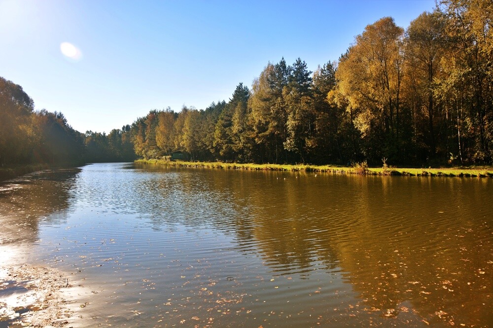 Jeżeli szukasz miejsca na spacer, z pełną odpowiedzialnością polecamy lasy w dzielnicy Halemba. Mieszkańcy okolicznych bloków chwalą sobie te tereny za wyjątkową ciszę i spokój.

fot. Jacek Knapik