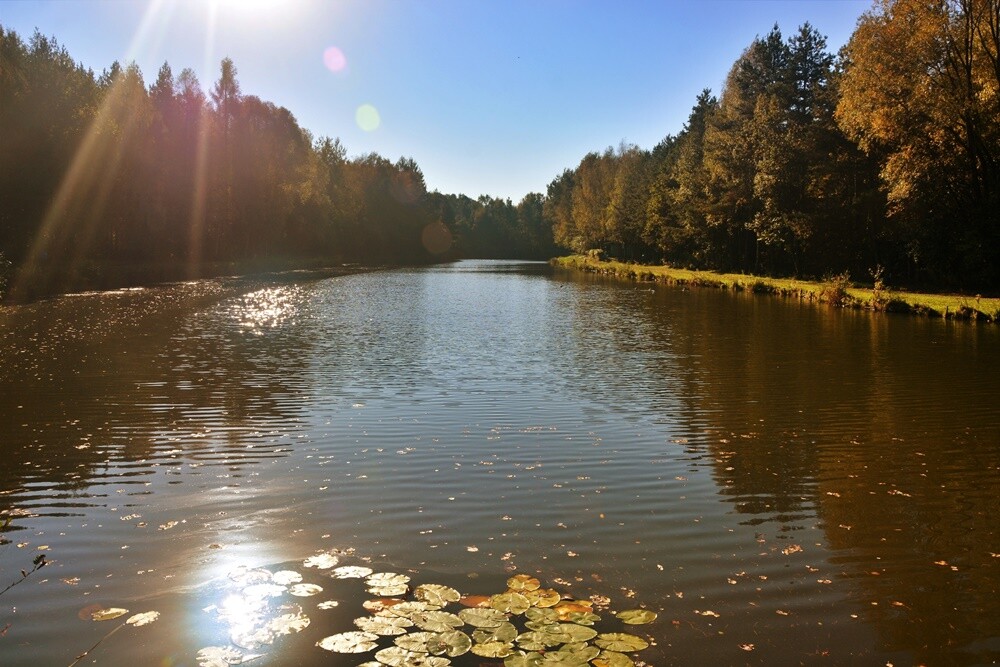 Jeżeli szukasz miejsca na spacer, z pełną odpowiedzialnością polecamy lasy w dzielnicy Halemba. Mieszkańcy okolicznych bloków chwalą sobie te tereny za wyjątkową ciszę i spokój.

fot. Jacek Knapik