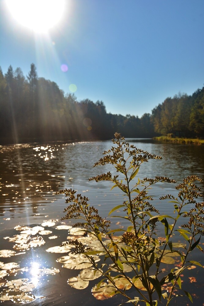 Jeżeli szukasz miejsca na spacer, z pełną odpowiedzialnością polecamy lasy w dzielnicy Halemba. Mieszkańcy okolicznych bloków chwalą sobie te tereny za wyjątkową ciszę i spokój.

fot. Jacek Knapik
