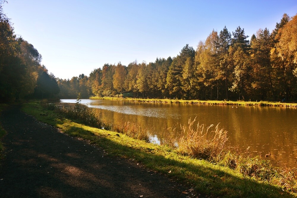 Jeżeli szukasz miejsca na spacer, z pełną odpowiedzialnością polecamy lasy w dzielnicy Halemba. Mieszkańcy okolicznych bloków chwalą sobie te tereny za wyjątkową ciszę i spokój.

fot. Jacek Knapik