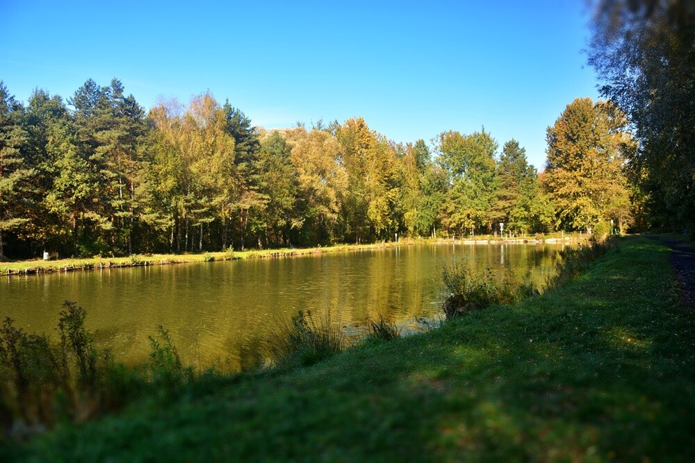 Jeżeli szukasz miejsca na spacer, z pełną odpowiedzialnością polecamy lasy w dzielnicy Halemba. Mieszkańcy okolicznych bloków chwalą sobie te tereny za wyjątkową ciszę i spokój.

fot. Jacek Knapik