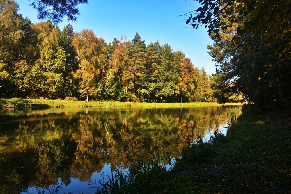 Jeżeli szukasz miejsca na spacer, z pełną odpowiedzialnością polecamy lasy w dzielnicy Halemba. Mieszkańcy okolicznych bloków chwalą sobie te tereny za wyjątkową ciszę i spokój.

fot. Jacek Knapik