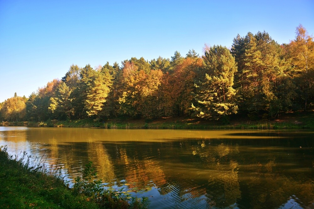 Jeżeli szukasz miejsca na spacer, z pełną odpowiedzialnością polecamy lasy w dzielnicy Halemba. Mieszkańcy okolicznych bloków chwalą sobie te tereny za wyjątkową ciszę i spokój.

fot. Jacek Knapik