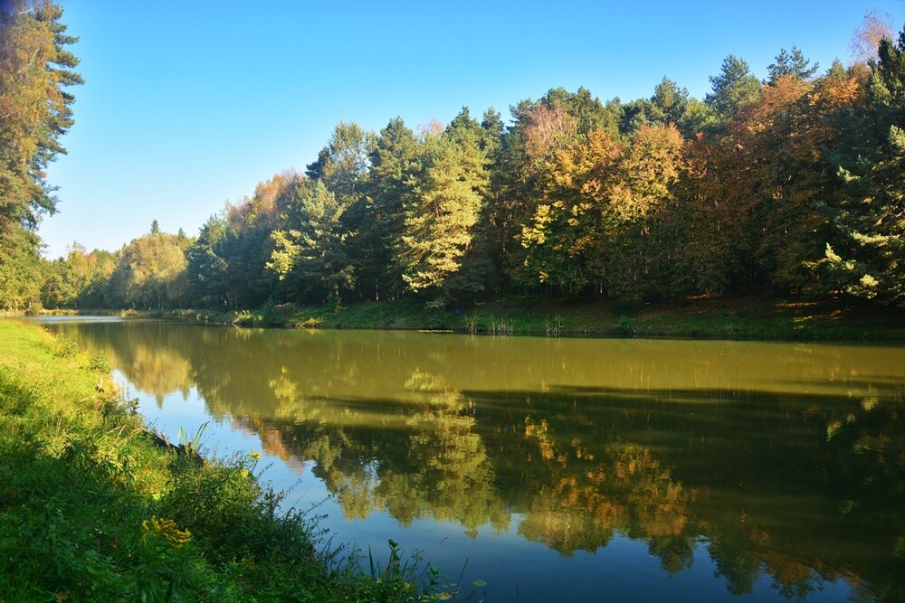 Jeżeli szukasz miejsca na spacer, z pełną odpowiedzialnością polecamy lasy w dzielnicy Halemba. Mieszkańcy okolicznych bloków chwalą sobie te tereny za wyjątkową ciszę i spokój.

fot. Jacek Knapik