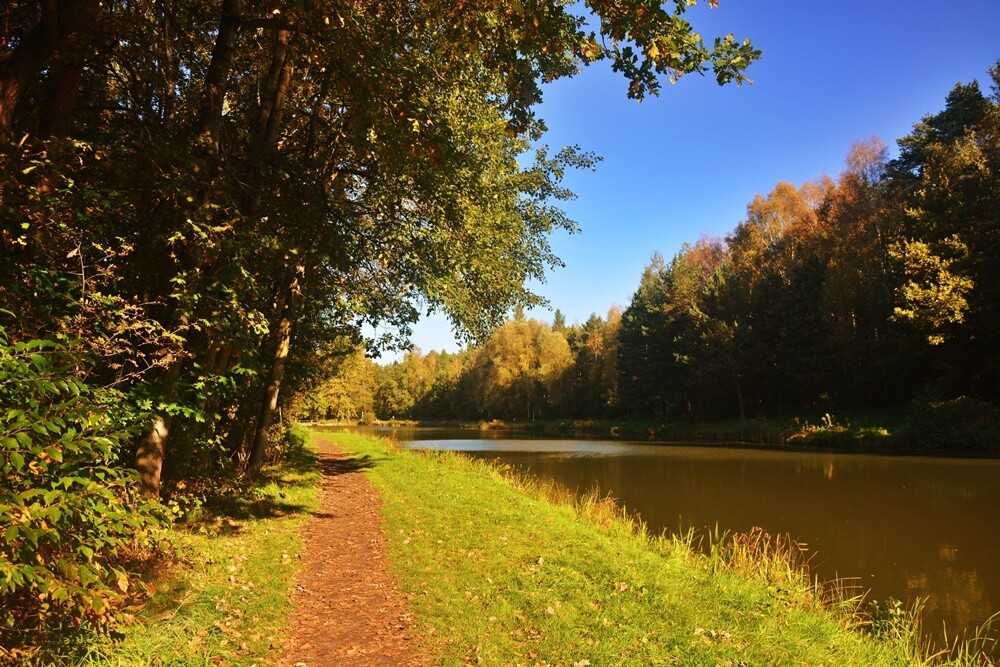 Jeżeli szukasz miejsca na spacer, z pełną odpowiedzialnością polecamy lasy w dzielnicy Halemba. Mieszkańcy okolicznych bloków chwalą sobie te tereny za wyjątkową ciszę i spokój.

fot. Jacek Knapik