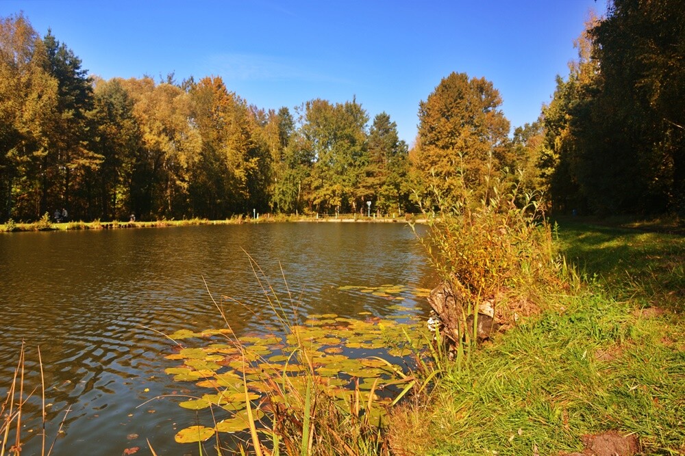 Jeżeli szukasz miejsca na spacer, z pełną odpowiedzialnością polecamy lasy w dzielnicy Halemba. Mieszkańcy okolicznych bloków chwalą sobie te tereny za wyjątkową ciszę i spokój.

fot. Jacek Knapik