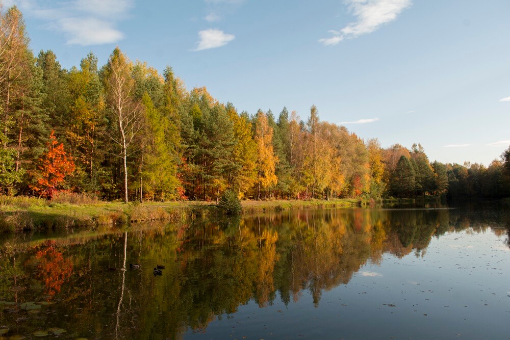 Jesień w lesie. / fot. Marek Faber