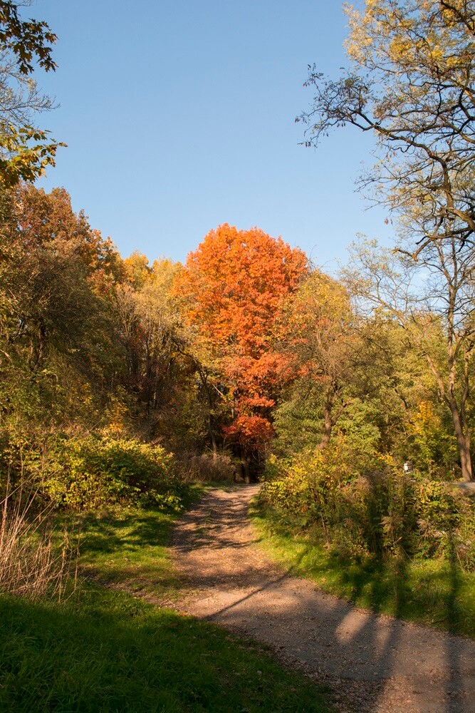 Jesień w lesie. / fot. Marek Faber
