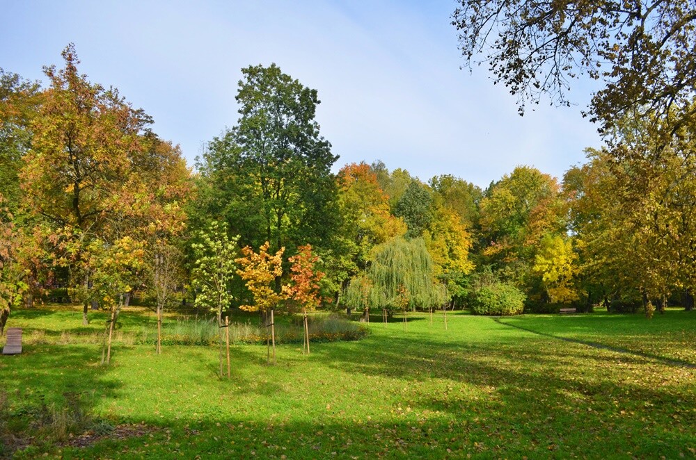 Rudzki fotograf Jacek Knapik wybrał się na wycieczkę po Rudzie Śląskiej w poszukiwaniu złotej rudzkiej jesieni. Zobacz, co uchwycił w swoim obiektywie.

fot. Jacek Knapik