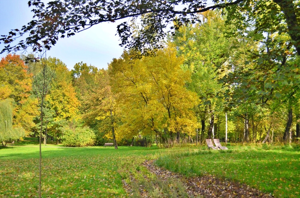 Rudzki fotograf Jacek Knapik wybrał się na wycieczkę po Rudzie Śląskiej w poszukiwaniu złotej rudzkiej jesieni. Zobacz, co uchwycił w swoim obiektywie.

fot. Jacek Knapik