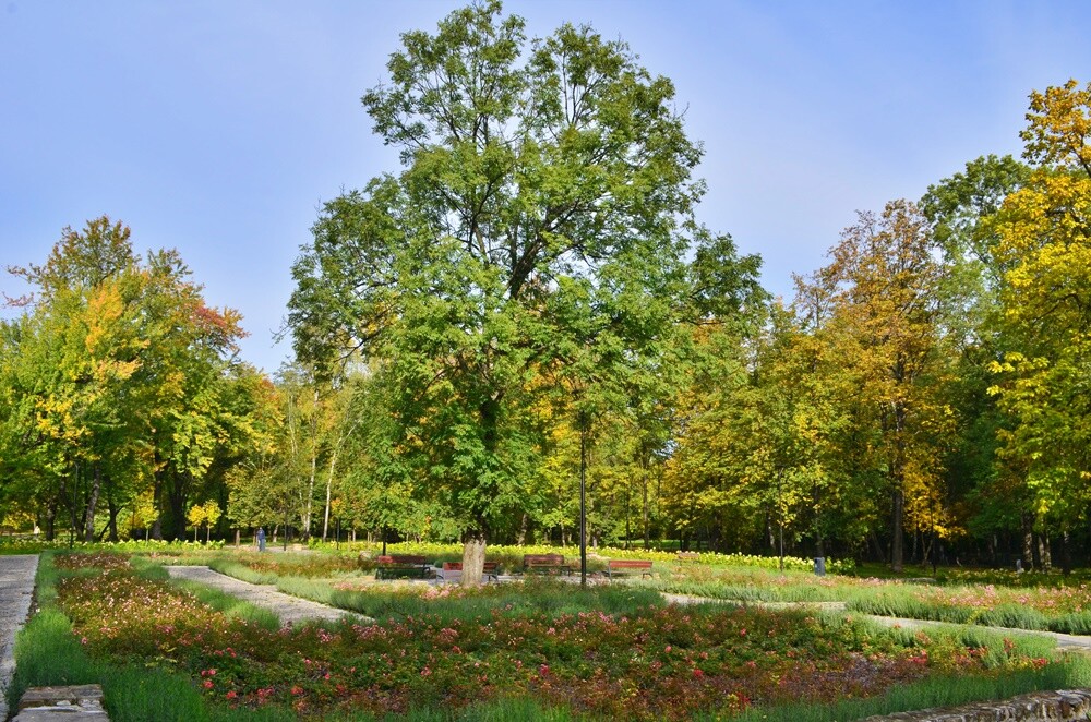 Rudzki fotograf Jacek Knapik wybrał się na wycieczkę po Rudzie Śląskiej w poszukiwaniu złotej rudzkiej jesieni. Zobacz, co uchwycił w swoim obiektywie.

fot. Jacek Knapik