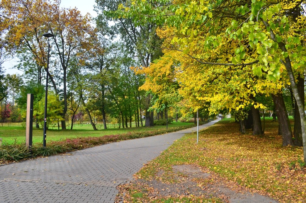 Rudzki fotograf Jacek Knapik wybrał się na wycieczkę po Rudzie Śląskiej w poszukiwaniu złotej rudzkiej jesieni. Zobacz, co uchwycił w swoim obiektywie.

fot. Jacek Knapik