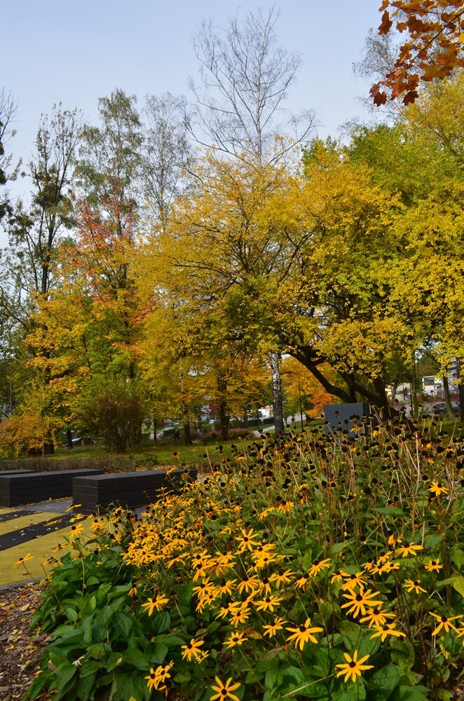 Rudzki fotograf Jacek Knapik wybrał się na wycieczkę po Rudzie Śląskiej w poszukiwaniu złotej rudzkiej jesieni. Zobacz, co uchwycił w swoim obiektywie.

fot. Jacek Knapik