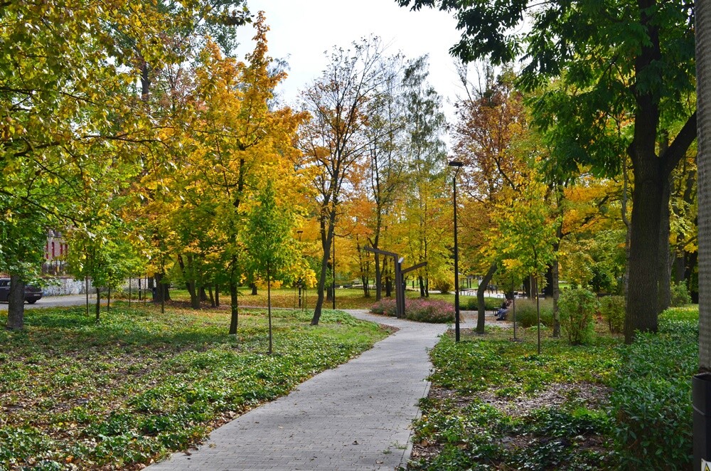 Rudzki fotograf Jacek Knapik wybrał się na wycieczkę po Rudzie Śląskiej w poszukiwaniu złotej rudzkiej jesieni. Zobacz, co uchwycił w swoim obiektywie.

fot. Jacek Knapik