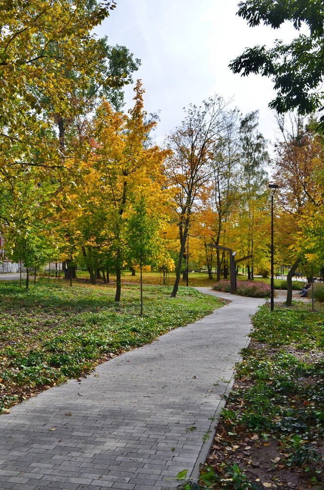 Rudzki fotograf Jacek Knapik wybrał się na wycieczkę po Rudzie Śląskiej w poszukiwaniu złotej rudzkiej jesieni. Zobacz, co uchwycił w swoim obiektywie.

fot. Jacek Knapik
