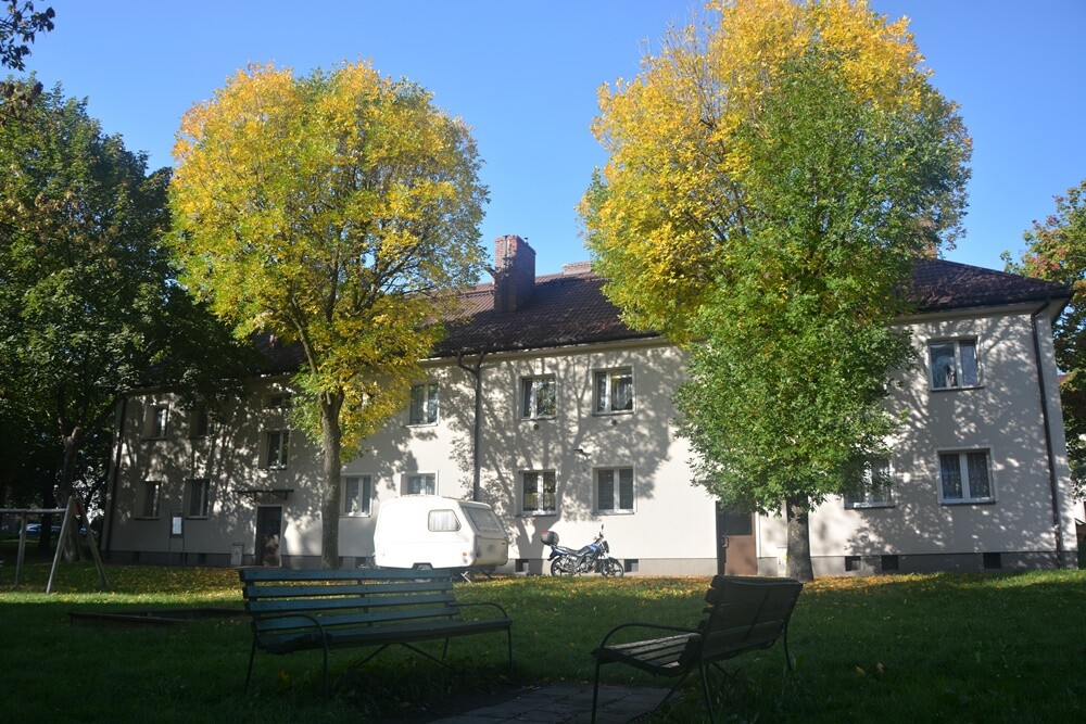 Fotograf Jacek Knapik wybrał się na wycieczkę po Rudzie Śląskiej w poszukiwaniu złotej rudzkiej jesieni.