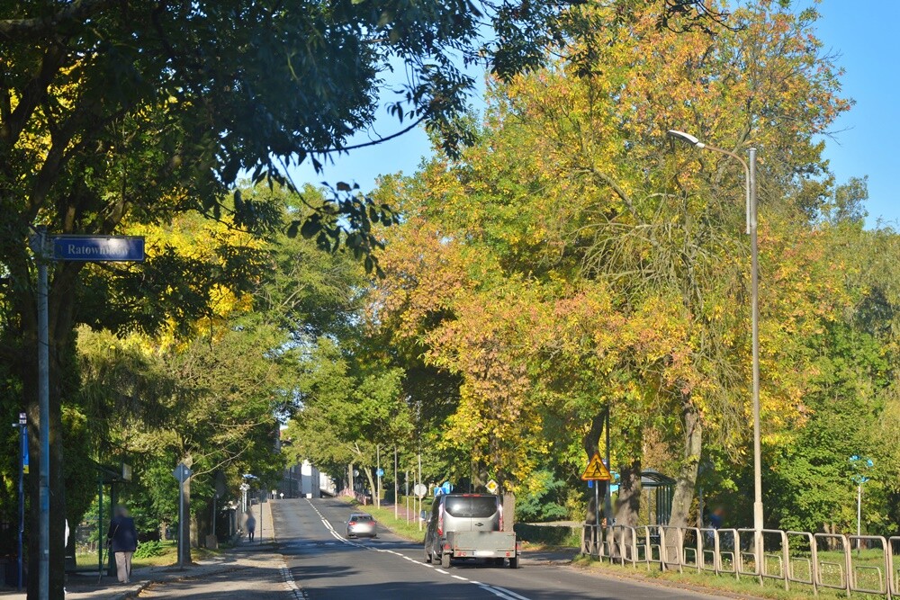 Fotograf Jacek Knapik wybrał się na wycieczkę po Rudzie Śląskiej w poszukiwaniu złotej rudzkiej jesieni.