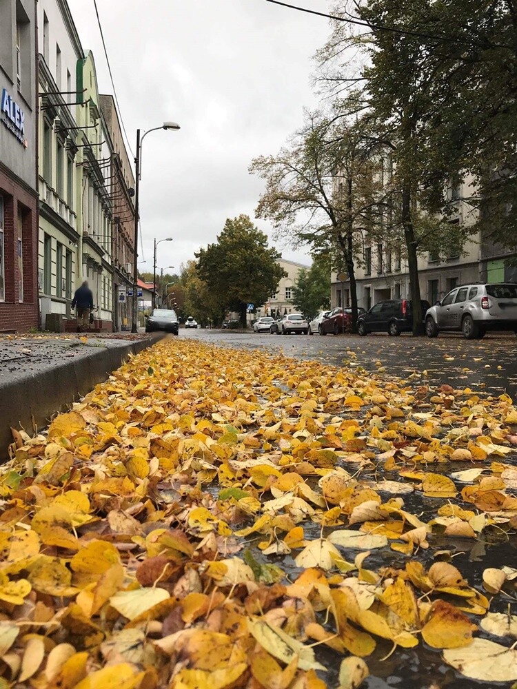 Fotograf Jacek Knapik wybrał się na wycieczkę po Rudzie Śląskiej w poszukiwaniu złotej rudzkiej jesieni.