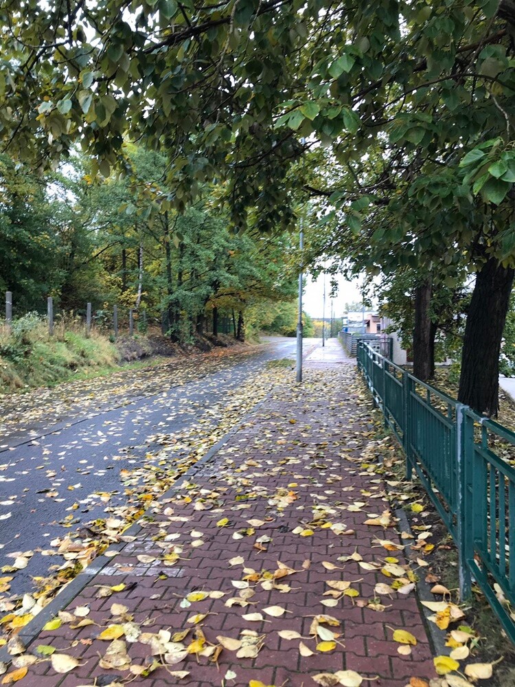 Fotograf Jacek Knapik wybrał się na wycieczkę po Rudzie Śląskiej w poszukiwaniu złotej rudzkiej jesieni.