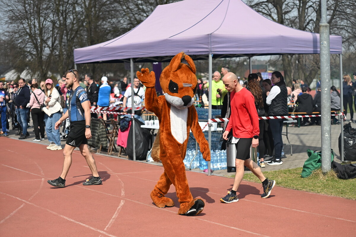 Za nami jubileuszowy "Bieg Wiewiórki" w Rudzie Śląskiej / fot. Krzysztof Faber