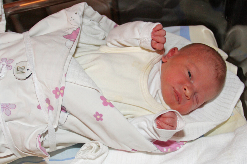 Kazimierz Studziński