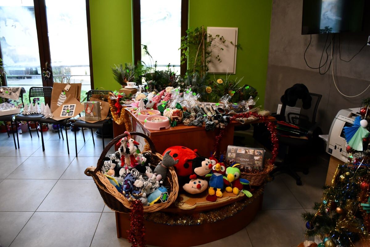 Przez cały weekend 21-22 grudnia w Schronisku dla Zwierząt TOZ "Fauna" organizowany jest kiermasz Świąteczny!