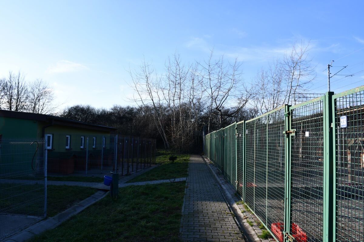 Przez cały weekend 21-22 grudnia w Schronisku dla Zwierząt TOZ "Fauna" organizowany jest kiermasz Świąteczny!