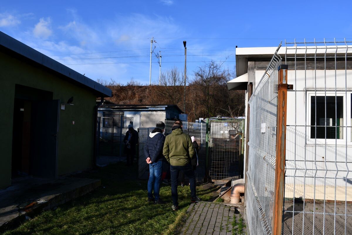 Przez cały weekend 21-22 grudnia w Schronisku dla Zwierząt TOZ "Fauna" organizowany jest kiermasz Świąteczny!